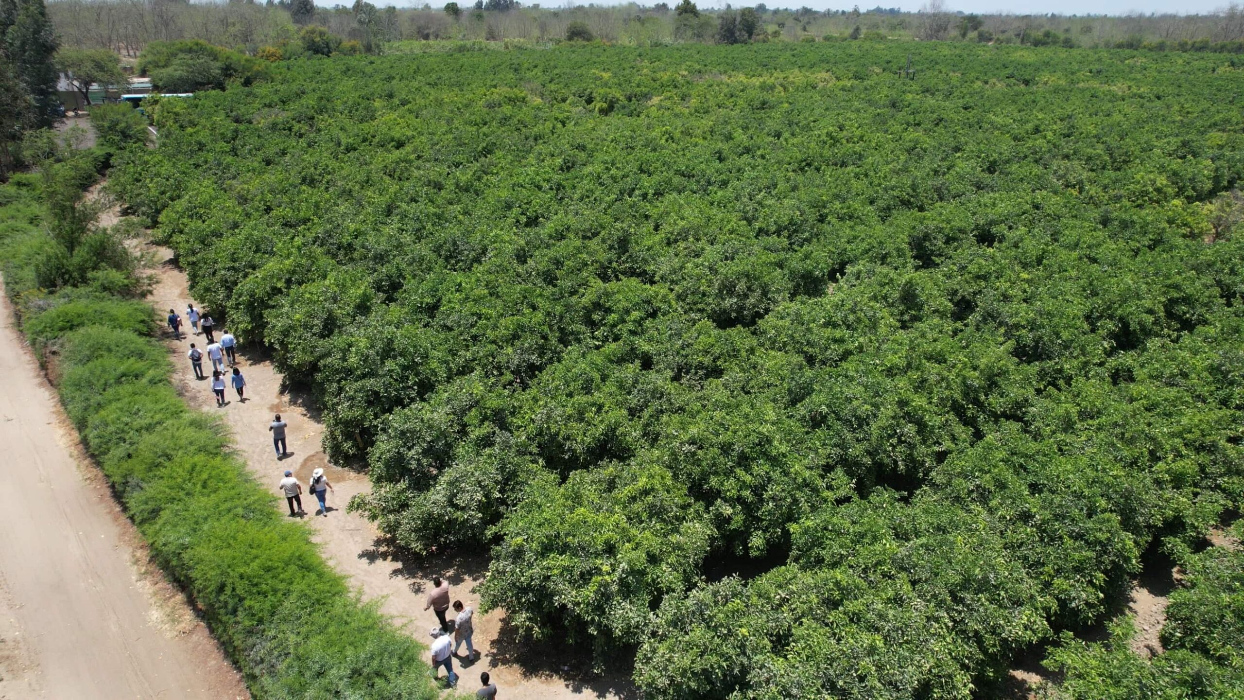 IMG_5917.00_00_58_26.Imagen fija003_1